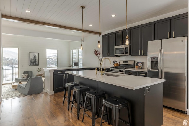 1052 W Cattail Ct Unit E1, Kamas, UT 84036 - kitchen with stainless steel appliances, a sink, dark wood-type flooring, and a healthy amount of sunlight