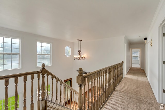 corridor with carpet floors, a notable chandelier, an upstairs landing, and plenty of natural light