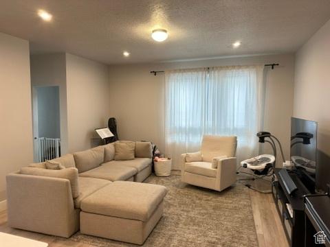 413 S 980 W, American Fork, UT 84003 - living area featuring radiator, recessed lighting, and light wood-style flooring