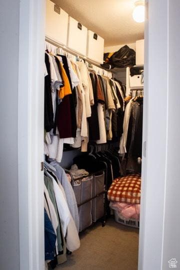 413 S 980 W, American Fork, UT 84003 - spacious closet featuring light carpet