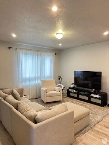 413 S 980 W, American Fork, UT 84003 - living room featuring recessed lighting, light wood-style flooring, and a textured ceiling