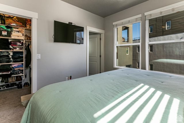 carpeted bedroom with a walk in closet and a closet