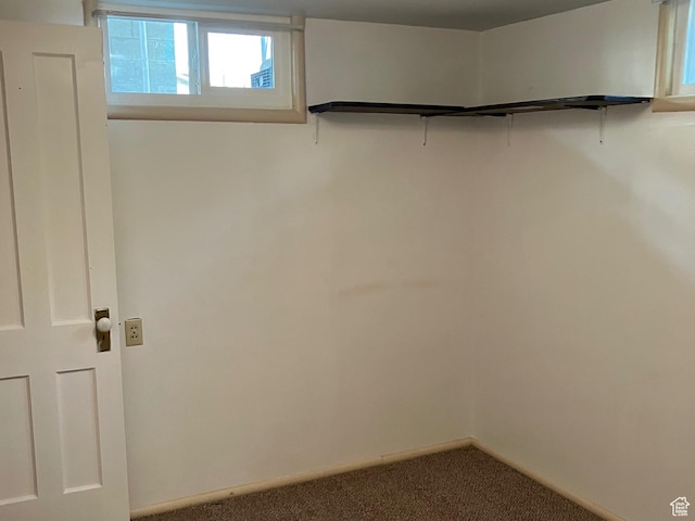 basement featuring carpet floors