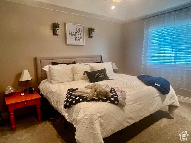 164 Park Ridge Dr, Roosevelt, UT 84066 - view of carpeted bedroom