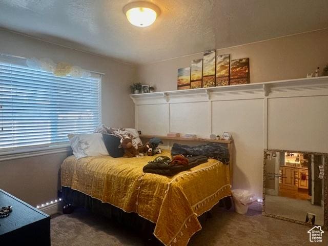 164 Park Ridge Dr, Roosevelt, UT 84066 - bedroom with carpet floors