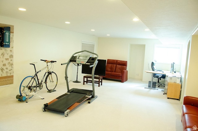 1849 E Gracey Ln S, Sandy, UT 84092 - workout room with recessed lighting and carpet floors