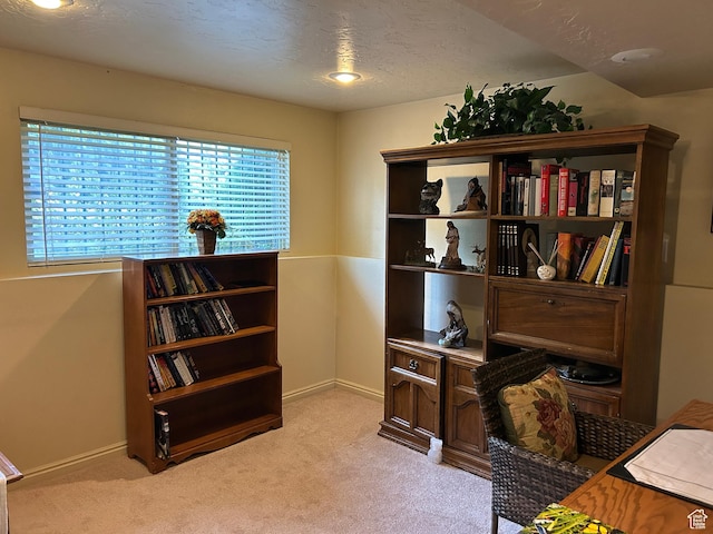 3748 W 5140 S, Taylorsville, UT 84129 - home office featuring light carpet and baseboards