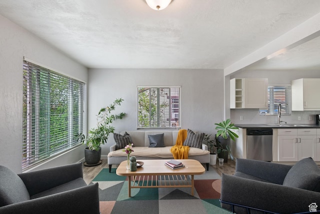 922 N Colorado St, Salt Lake City, UT 84116 - living room featuring plenty of natural light and wood finished floors