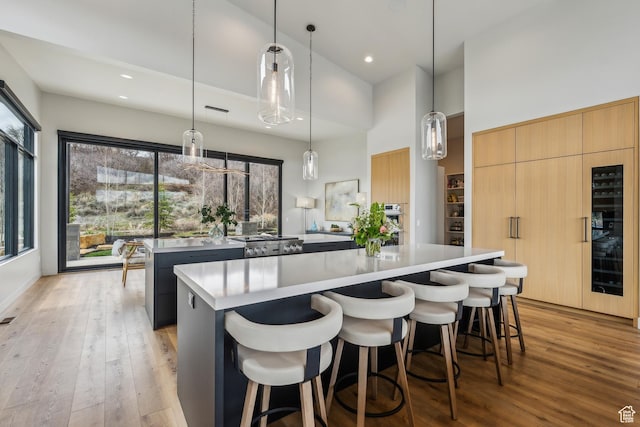 11431 N Ursa Cir Unit 56, Heber City, UT 84032 - kitchen with a high ceiling, light countertops, light wood-style floors, a kitchen island, and a breakfast bar area
