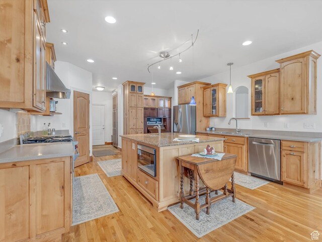 1055 N 1000 E, Mapleton, UT 84664 - kitchen with range hood, stainless steel appliances, a sink, a center island with sink, and light wood-style flooring