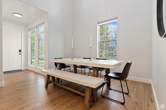 dining room with baseboards, a healthy amount of sunlight, and light wood-style floors