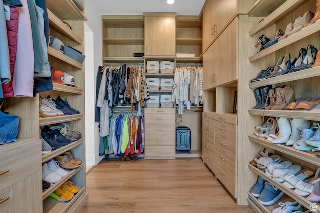 565 W Autumn Blaze, Woodland Hills, UT 84653 - walk in closet featuring light wood-type flooring