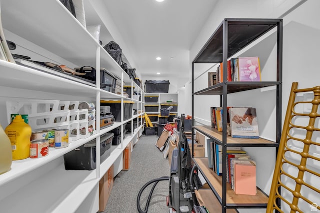 565 W Autumn Blaze, Woodland Hills, UT 84653 - view of storage