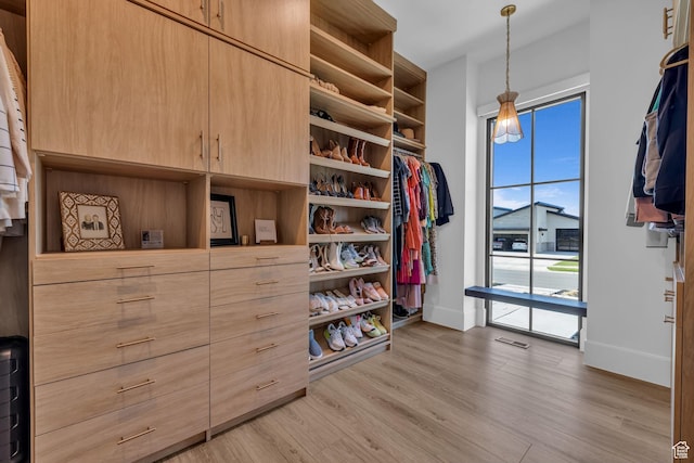 565 W Autumn Blaze, Woodland Hills, UT 84653 - spacious closet with light wood finished floors