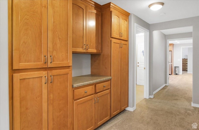 857 E Park School Rd, Draper, UT 84020 - hall featuring light colored carpet and baseboards