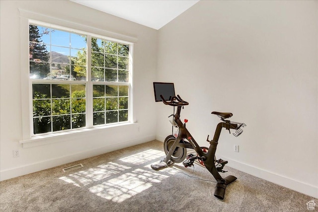 857 E Park School Rd, Draper, UT 84020 - workout room featuring baseboards, a healthy amount of sunlight, carpet flooring, and visible vents