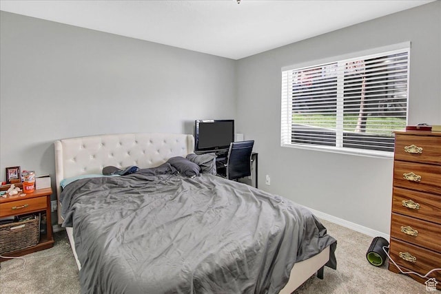 857 E Park School Rd, Draper, UT 84020 - bedroom with light colored carpet and baseboards