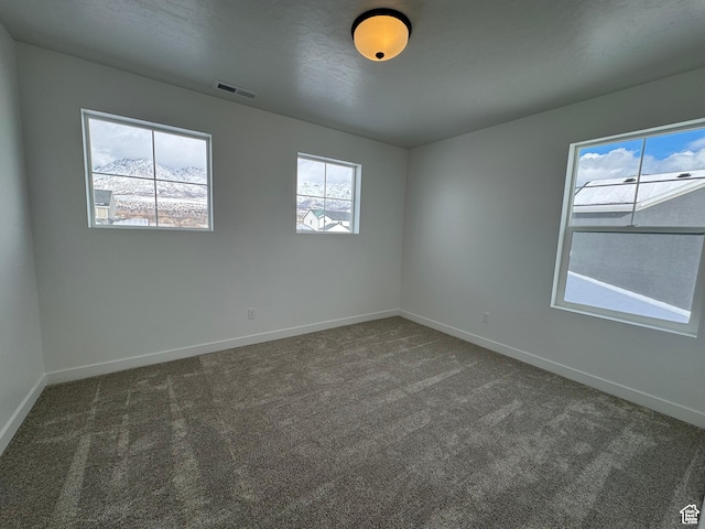 251 E Montgomery Ln, North Ogden, UT 84414 - carpeted spare room with baseboards and visible vents