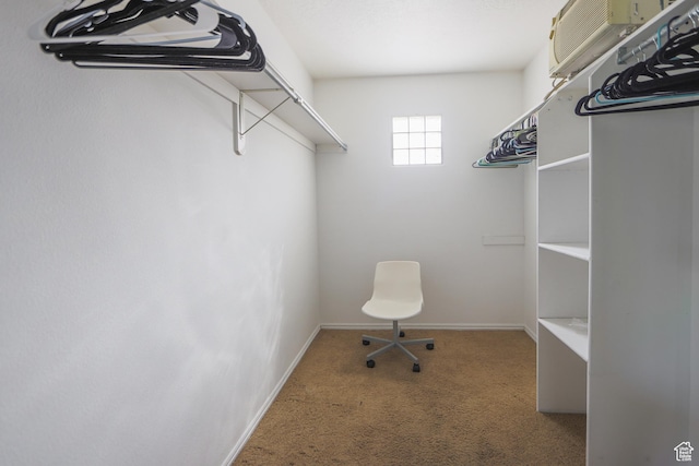 2201 S San Carlos Ct, Bloomington, UT 84790 - spacious closet featuring carpet flooring