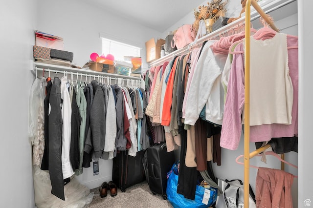 1324 S 3610 E, Spanish Fork, UT 84660 - walk in closet with carpet flooring