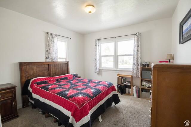 418 E 100 N, Vernal, UT 84078 - view of carpeted bedroom
