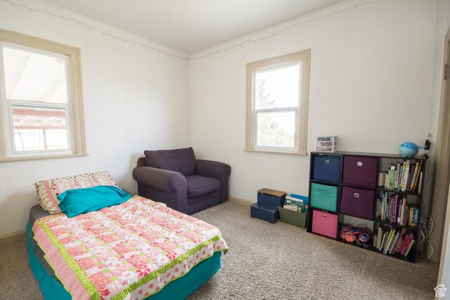 418 E 100 N, Vernal, UT 84078 - bedroom featuring baseboards, carpet flooring, and multiple windows