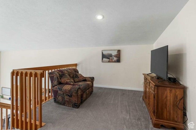 770 W Carter Dr, Pine Valley, UT 84781 - living area featuring carpet and baseboards