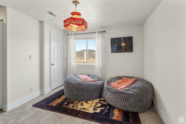 770 W Carter Dr, Pine Valley, UT 84781 - sitting room with baseboards, visible vents, and carpet