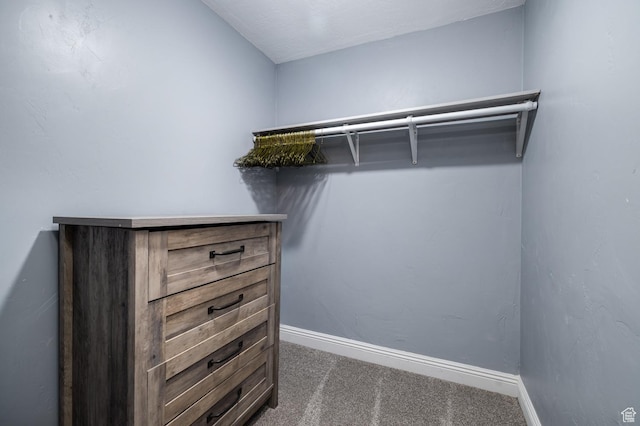 1808 E 2000 S, Naples, UT 84078 - spacious closet featuring dark carpet