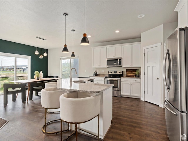 kitchen with stainless steel appliances, a healthy amount of sunlight, a sink, and dark wood-style flooring
