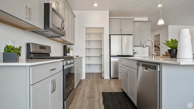 kitchen featuring stainless steel appliances, light countertops, gray cabinetry, and light wood-style floors