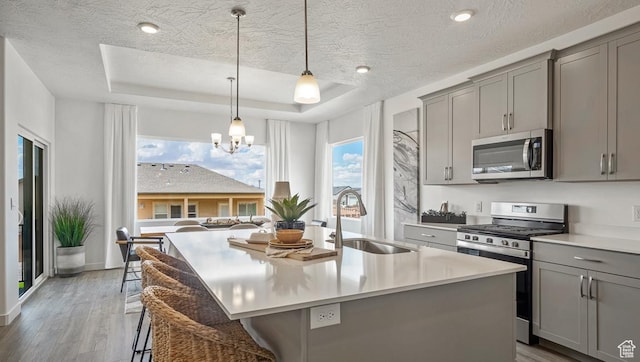 kitchen with appliances with stainless steel finishes, gray cabinetry, and a sink