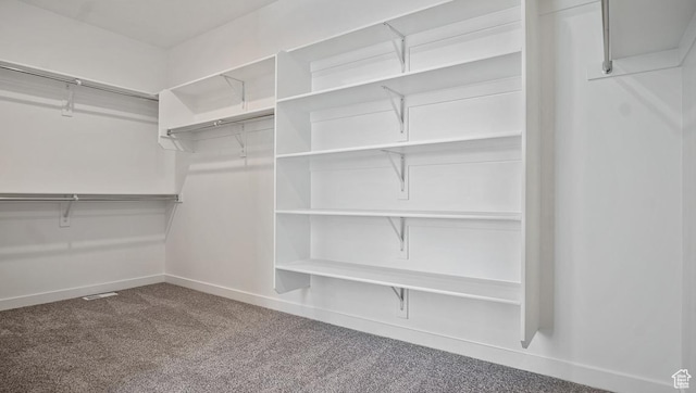 walk in closet with carpet flooring