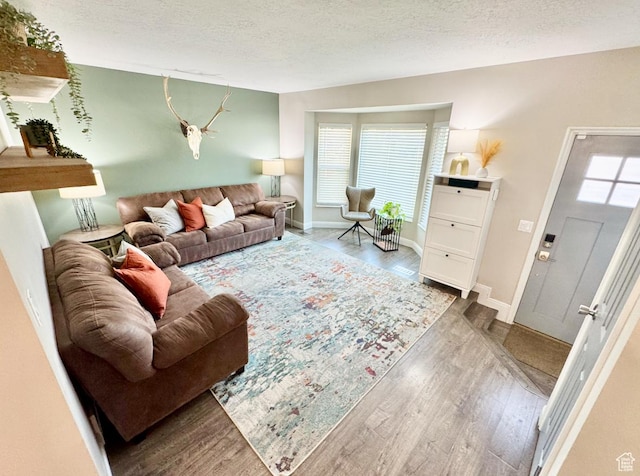 living room with baseboards, wood finished floors, and a textured ceiling