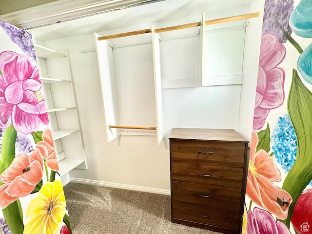spacious closet featuring carpet floors