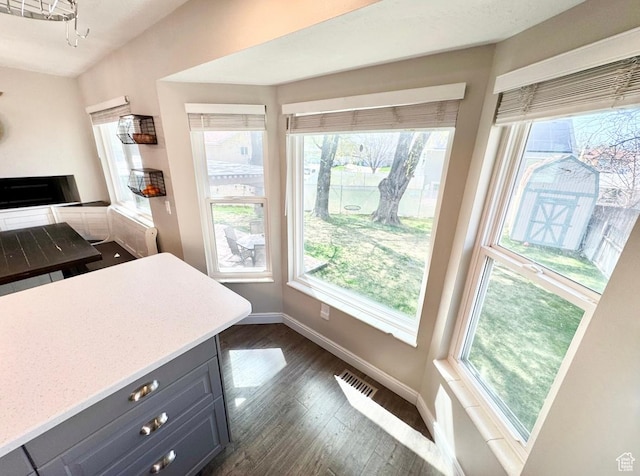 kitchen featuring visible vents, plenty of natural light, baseboards, and dark wood-style flooring