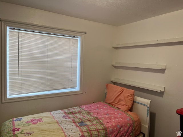 bedroom featuring multiple windows
