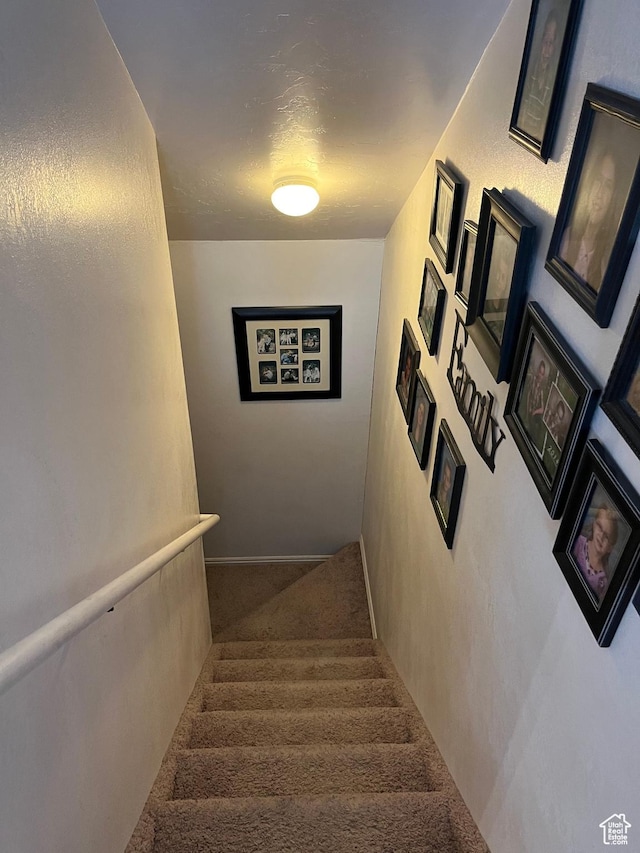 staircase with carpet