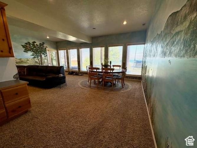15 Mule Deer Cir, Fish Haven, ID 83287 - photo 20