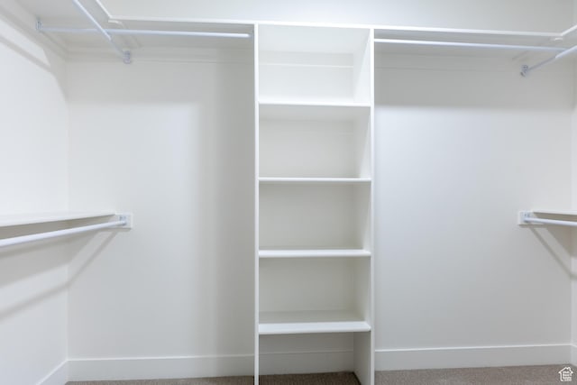 1403 E 1230 S Unit 45, Garland, UT 84312 - walk in closet with carpet
