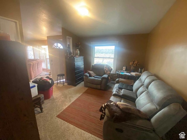 5141 W 940 S, Roosevelt, UT 84066 - view of carpeted living room