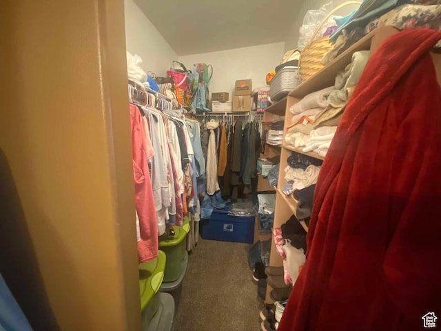 5141 W 940 S, Roosevelt, UT 84066 - walk in closet with carpet flooring