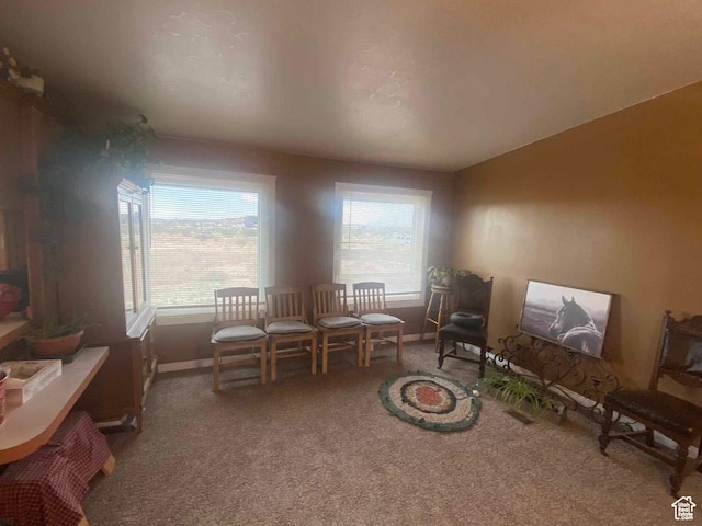 5141 W 940 S, Roosevelt, UT 84066 - sitting room with baseboards and carpet