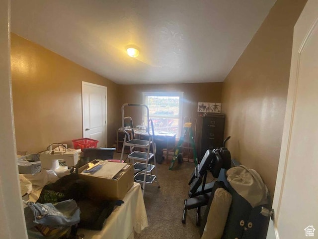 5141 W 940 S, Roosevelt, UT 84066 - interior space featuring lofted ceiling and carpet