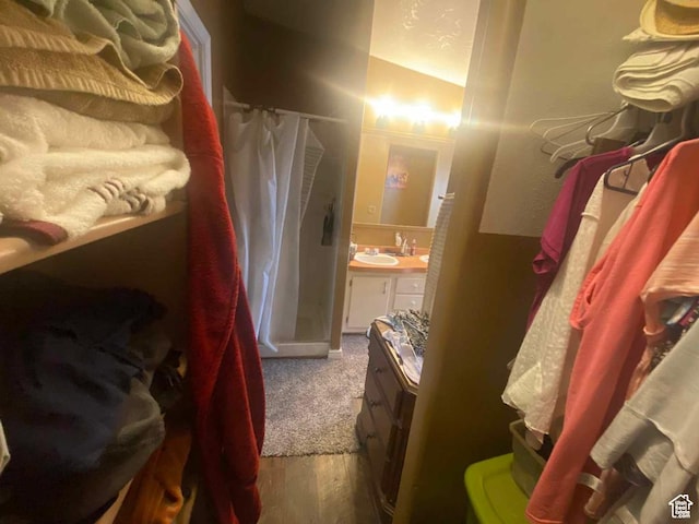 5141 W 940 S, Roosevelt, UT 84066 - walk in closet with vaulted ceiling, wood finished floors, and a sink