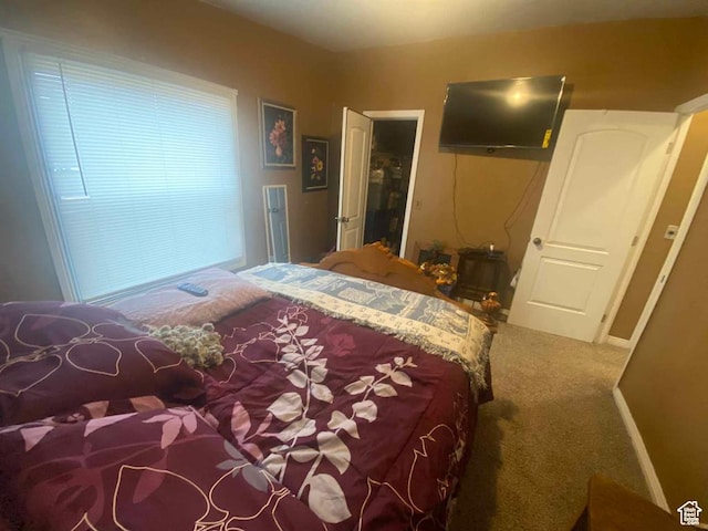 5141 W 940 S, Roosevelt, UT 84066 - view of carpeted bedroom