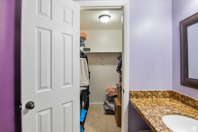bathroom featuring a spacious closet and vanity