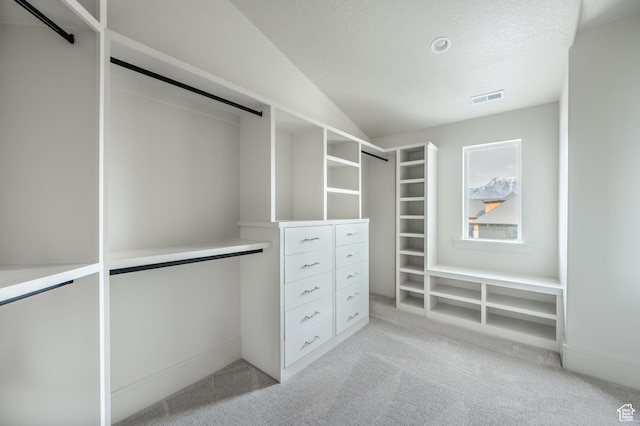 walk in closet featuring light carpet