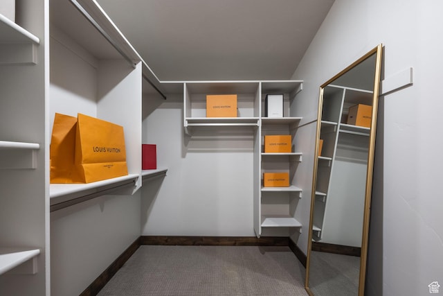 1166 W Cadence Ct, Kamas, UT 84036 - spacious closet with carpet