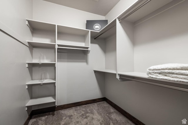 1166 W Cadence Ct, Kamas, UT 84036 - walk in closet with dark colored carpet